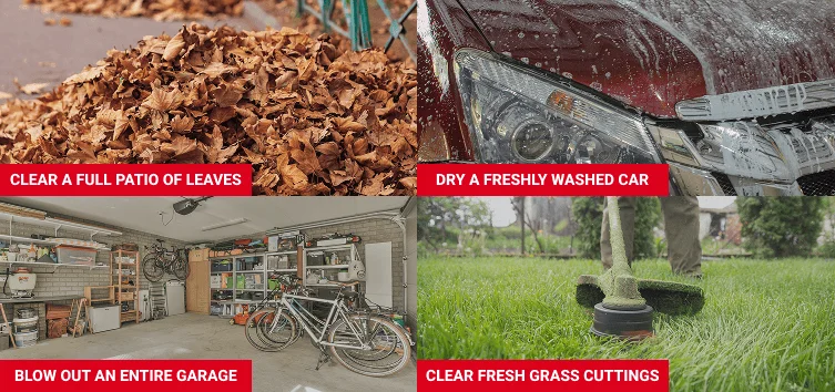 Examples of the Wood Ranger Power Blower cleaning various items.